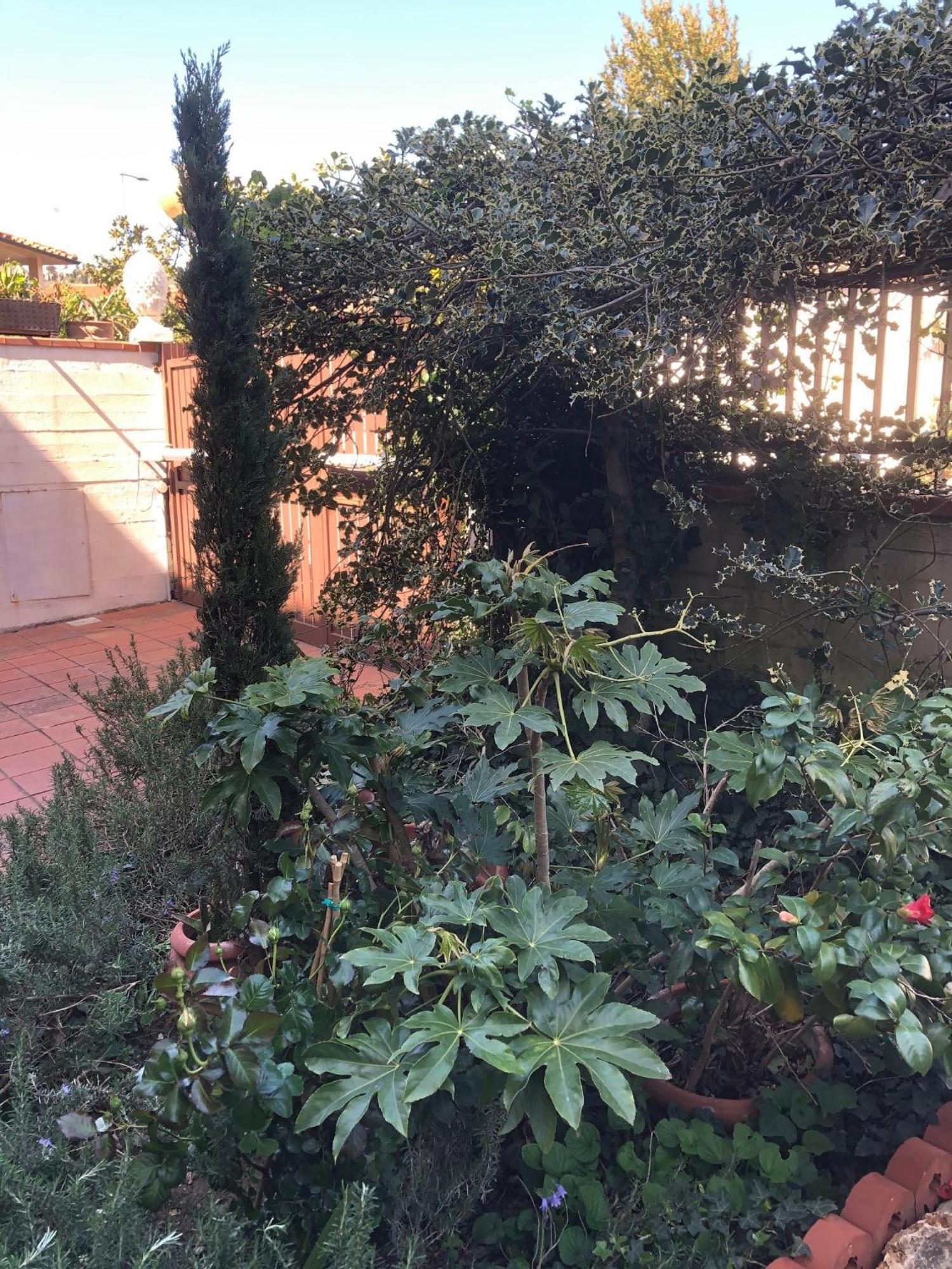 La Villa Bianca - Appartamento In Villa Sesto Fiorentino Exteriér fotografie