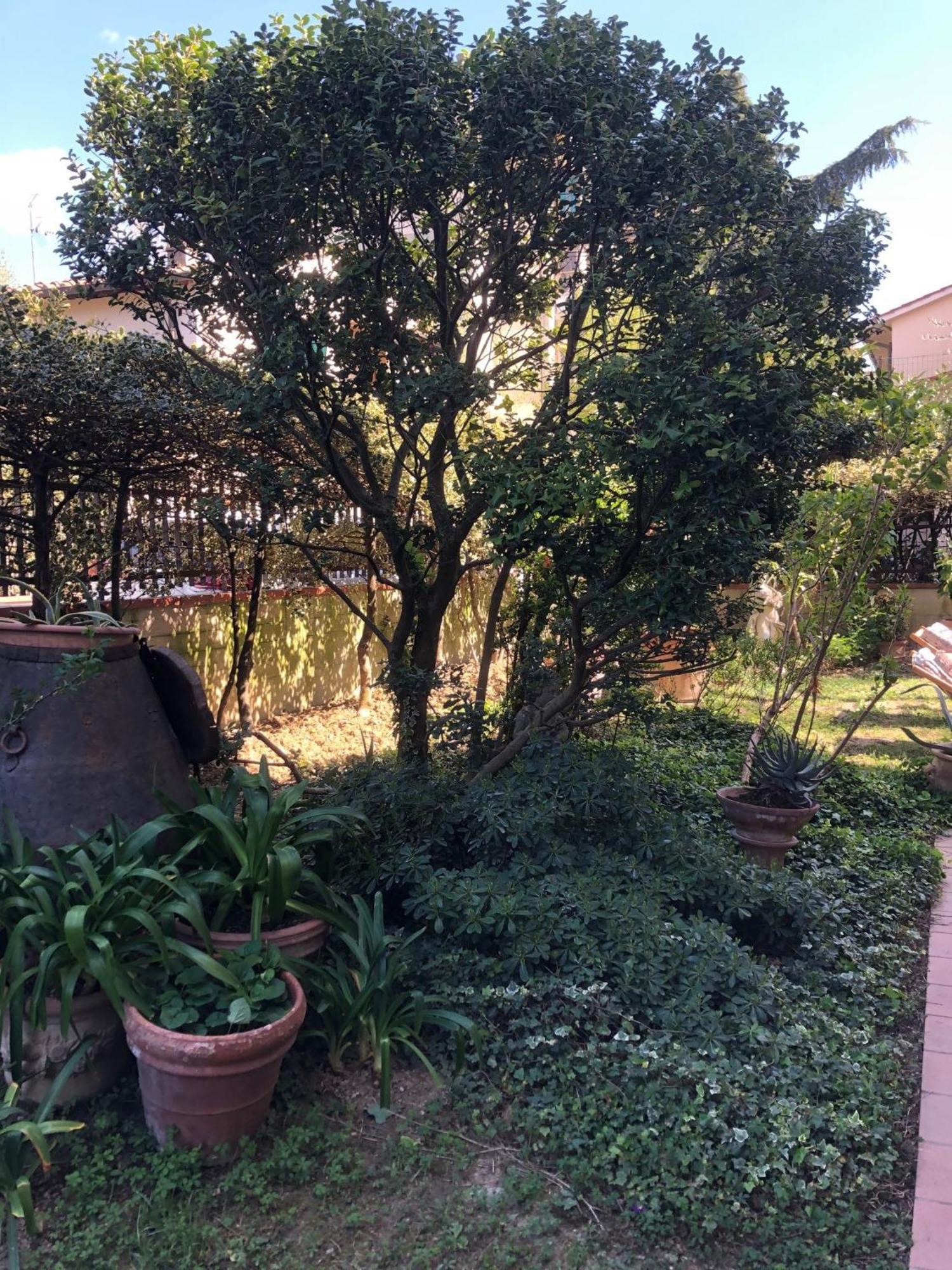 La Villa Bianca - Appartamento In Villa Sesto Fiorentino Exteriér fotografie